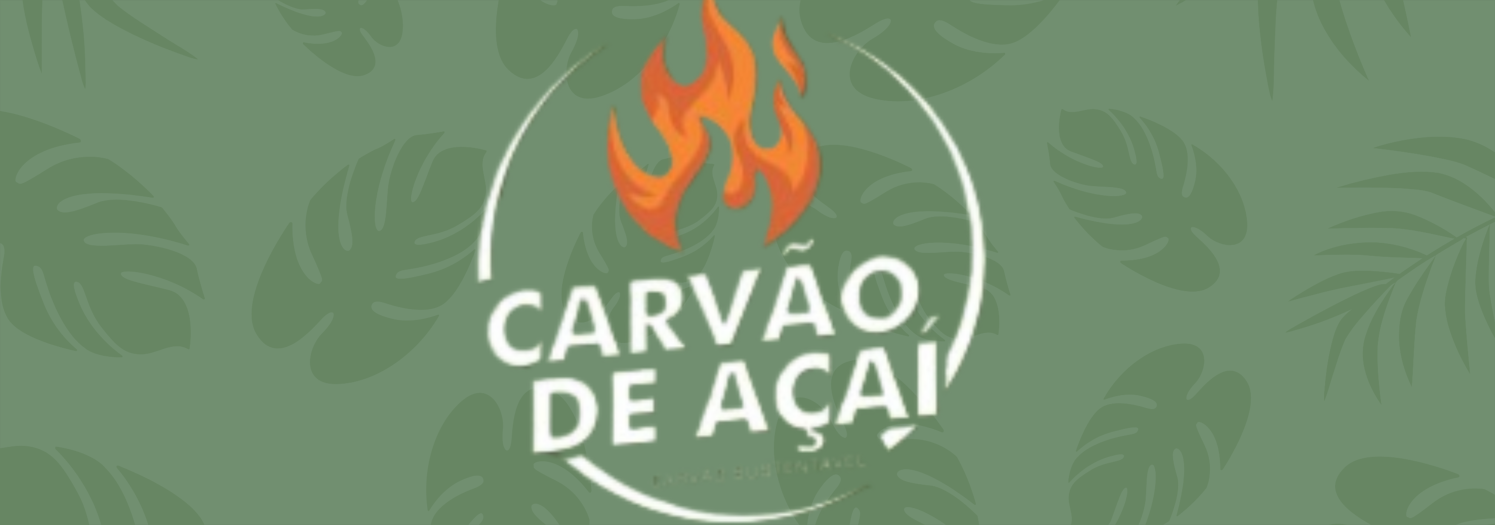 bannerdefinitivocarvao02